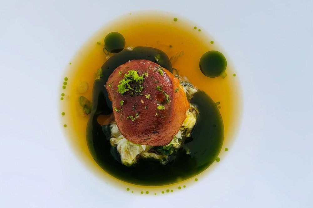 A seared course in an amber broth and herb oil, seen from above